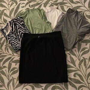 ZYIA 5 pc. Mixed Tee/Tank Bundle with Black Skirt - Zebra, Sage, White, Stripes
